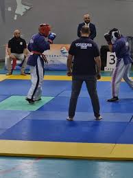 Image result for Yoseikan Budo England