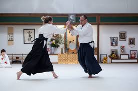 Image result for Moslin & Dewandre Aiki Dojo