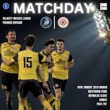 Image result for Cowes Sports Football Club