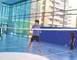 Image result for Ifds Badminton Club