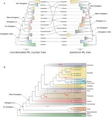 Image result for pfanzelt tehron