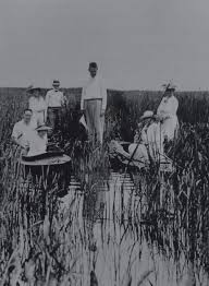 Image result for Property Gun and Punt Club