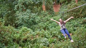Image result for Go Ape! Thetford