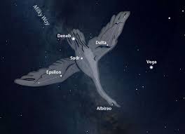 Attēlu rezultāti vaicājumam “Cygnus”