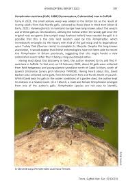 Attēlu rezultāti vaicājumam “Crabronidae”