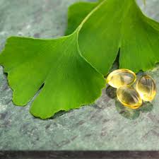 Attēlu rezultāti vaicājumam “Ginkgo biloba leaf”