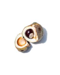 Attēlu rezultāti vaicājumam “Aesculus flava fruit”