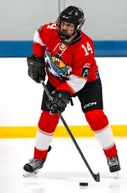 Image result for West Coast Wasps Skater Hockey Club