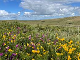 Image result for EXETER RAMBLING CLUB