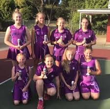 Image result for Civil Service (Ipswich) Netball Club