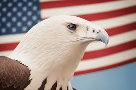 Image result for 40超年率10%