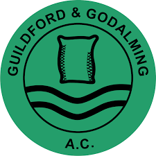Image result for Guildford Fc 2000