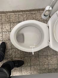 Image result for german toilet