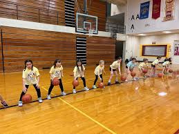 Image result for Little Common Community Sports Club