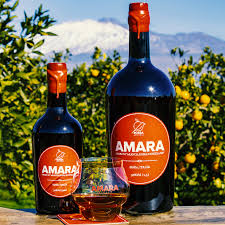 Attēlu rezultāti vaicājumam “Amara sp.”