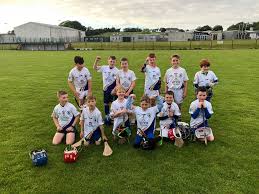 Image result for Causeway Hurling Club