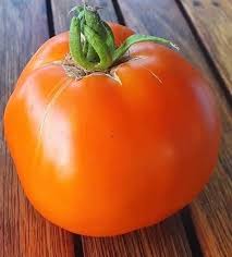 Afbeeldingsresultaat voor caro rich tomato