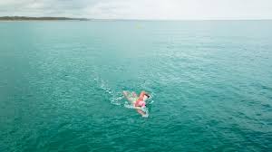 Image result for SwimSwansea