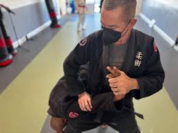 Image result for Aj Independent Martial Arts