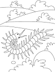 Centipede coloring page