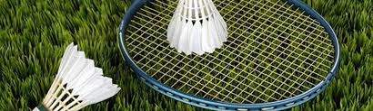 Image result for Regis Badminton Club