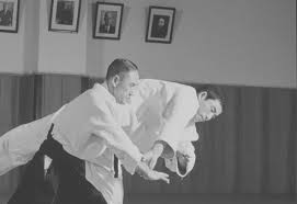 Image result for Goryukai Aikido Yoshinkan (Chichester)