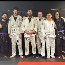 Image result for Pyramid martial arts