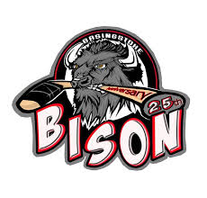 Image result for Basingstoke Bison Ice Hockey Club