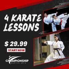 Image result for Championship Martial Arts Frisco