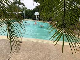 Image result for Slough Octopush Club