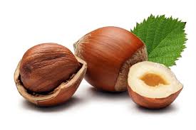 Attēlu rezultāti vaicājumam “Corylus avellana fruit”