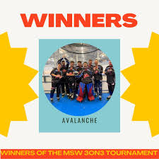 Image result for Ash Avalanche Skater Hockey Club