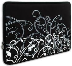 carry laptop