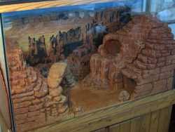 bearded dragon terrarium plans