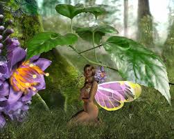 fairy screensavers