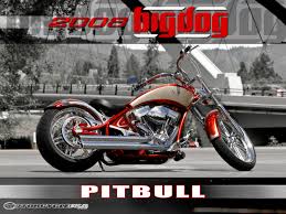 big dog customs