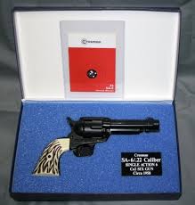 22 cal pellet gun