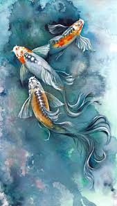 koi fish art