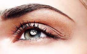 eyelash and eyebrow tint