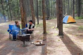 junipier hills campground mi