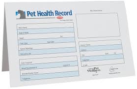printable yearly 2011 calendar on excel