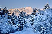 hotels steamboat colorado