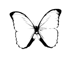 butterflies stamps