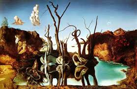 dali swans