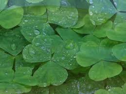 Rich Mullins - The Color Green