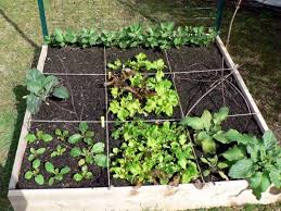 jardin carres