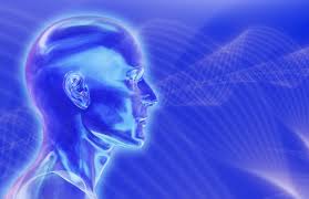 IMAGE(http://t0.gstatic.com/images?q=tbn:Axokwer67VchdM%3Ahttp://www.dailygalaxy.com/photos/uncategorized/2007/05/23/blue_brain_5.jpg)