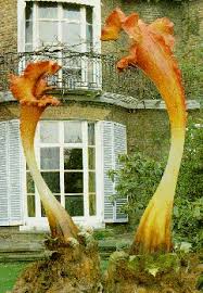 the day of the triffids film