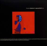 Howard Jones - The Peaceful Tour