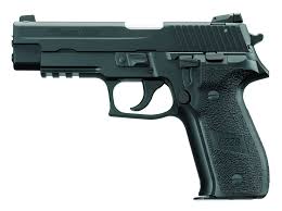 sig sauer 22 cal